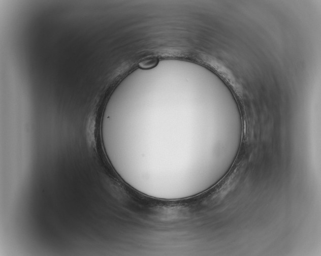 X0000101460201200807211340