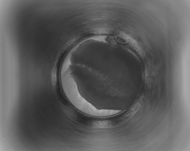 X0000101460202200807211340