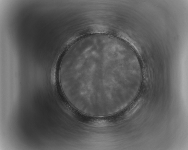 X0000101460203200807211340