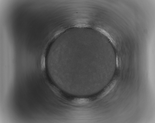 X0000101460205200807211340