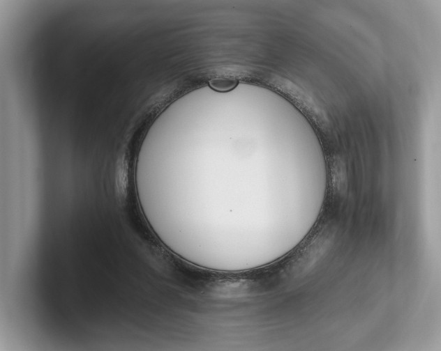 X0000101460206200807211340