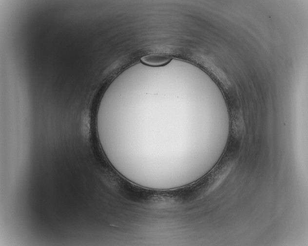 X0000101460207200807211340