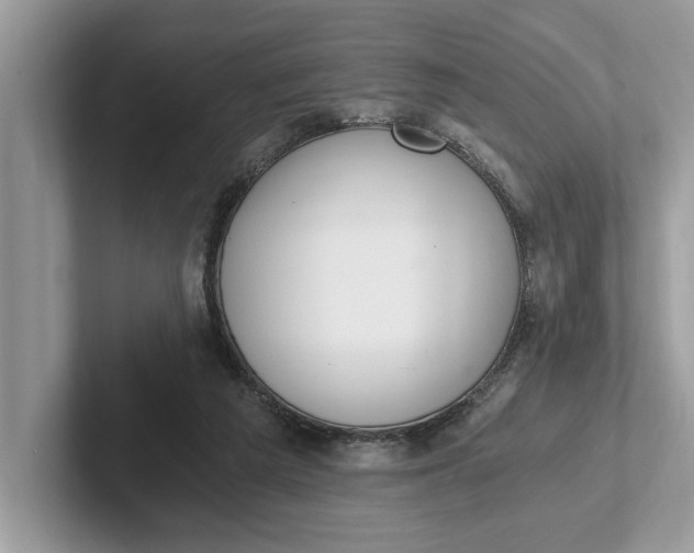 X0000101460209200807211340