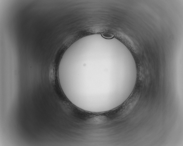 X0000101460210200807211340