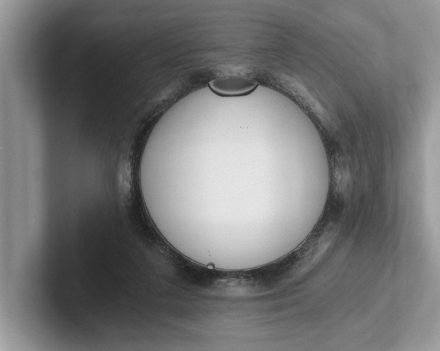 X0000101460211200807211340