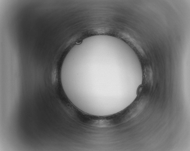 X0000101460212200807211340