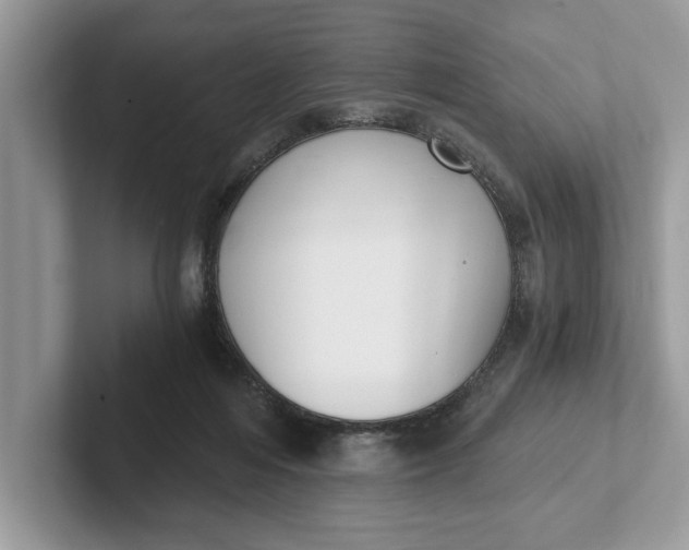 X0000101460216200807211340