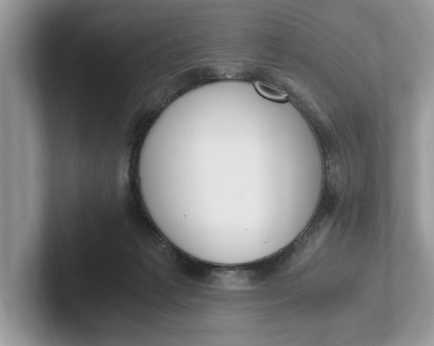 X0000101460221200807211340