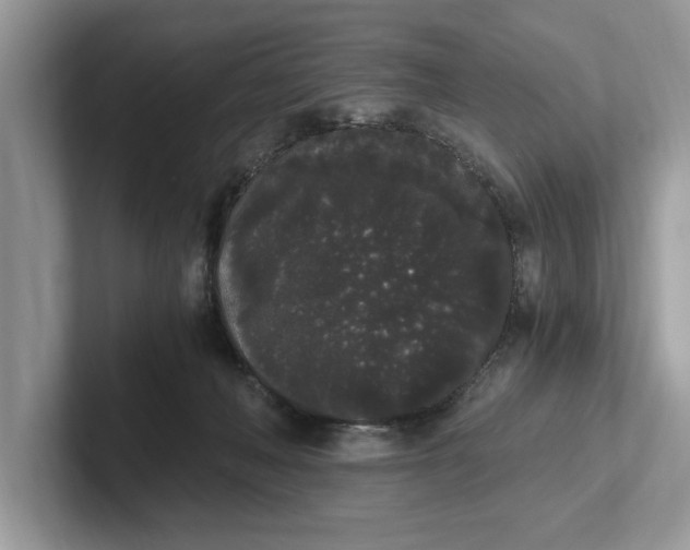 X0000101460222200807211340