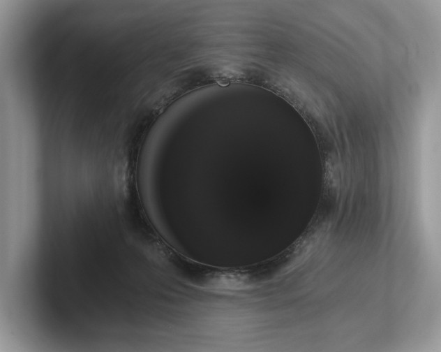 X0000101460223200807211340