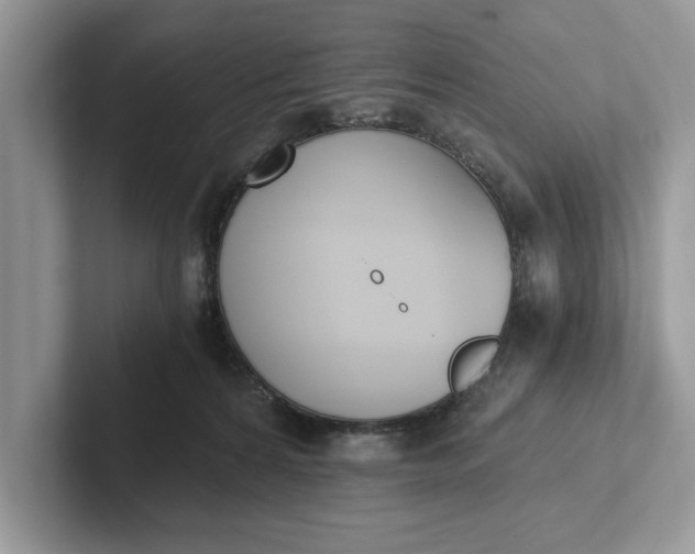 X0000101460224200807211340