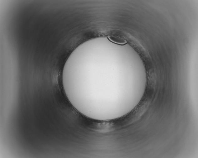 X0000101460225200807211340