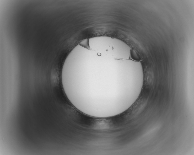 X0000101460226200807211340