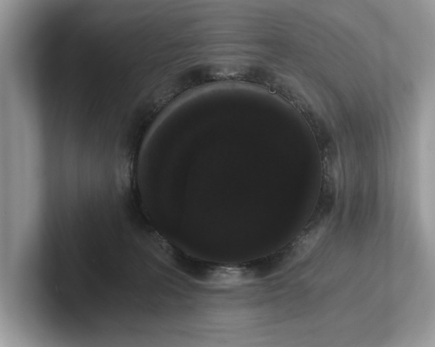 X0000101460227200807211340