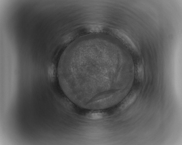 X0000101460228200807211340