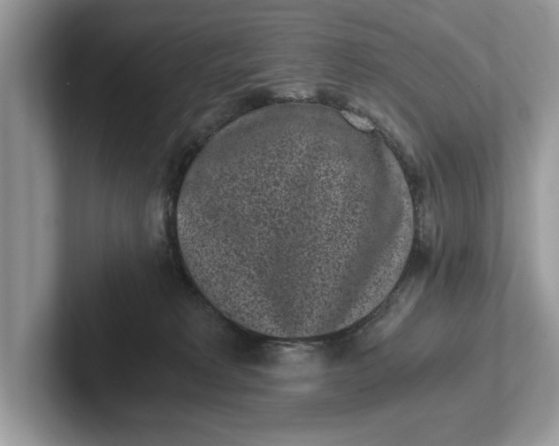 X0000101460229200807211340