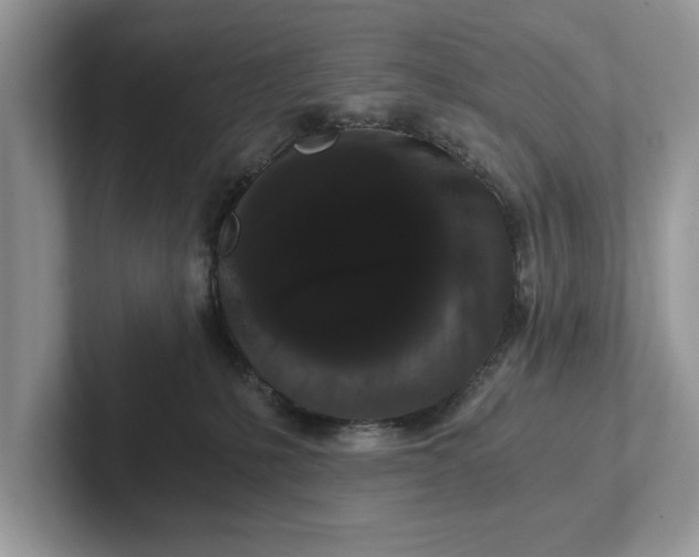 X0000101460231200807211340