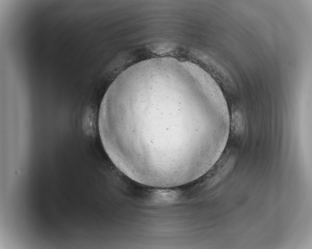 X0000101460234200807211340