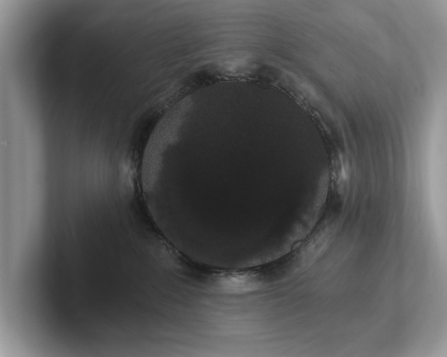 X0000101460235200807211340