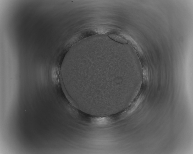 X0000101460237200807211340