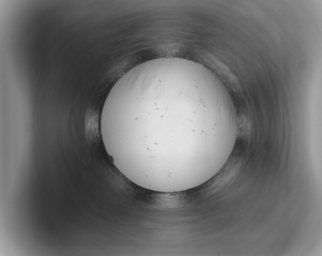 X0000101460238200807211340