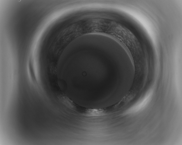 X0000101460239200807211340