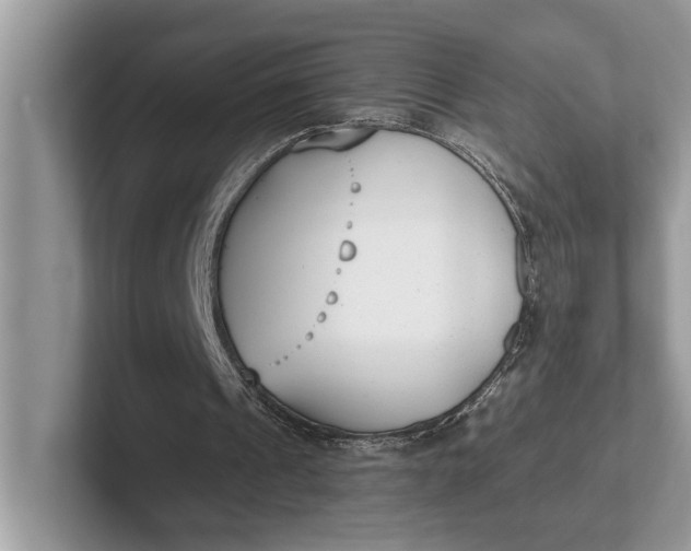 X0000101460241200807211339