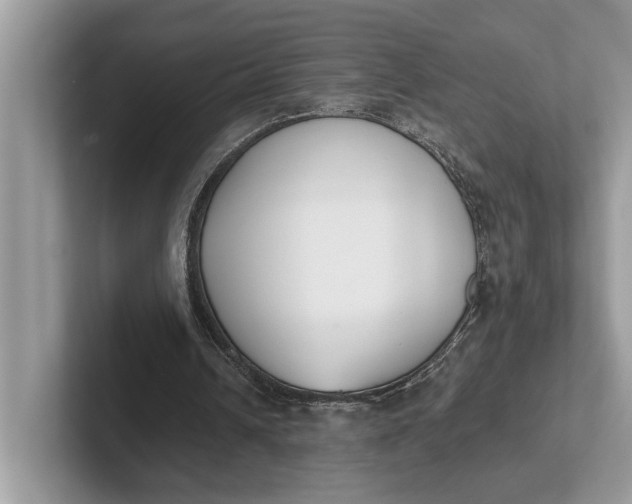 X0000101460242200807211339