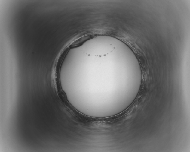 X0000101460244200807211339