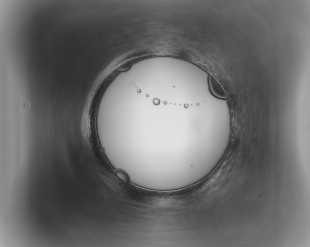 X0000101460246200807211339