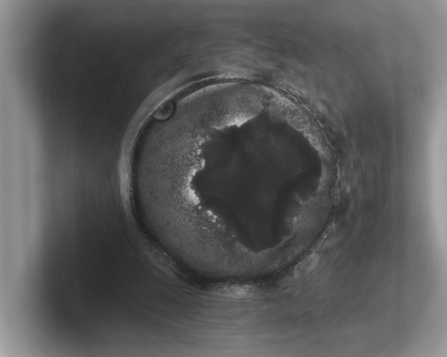 X0000101460247200807211339