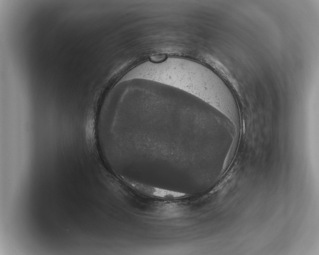 X0000101460249200807211339