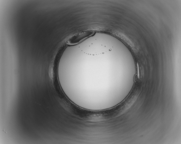 X0000101460252200807211339