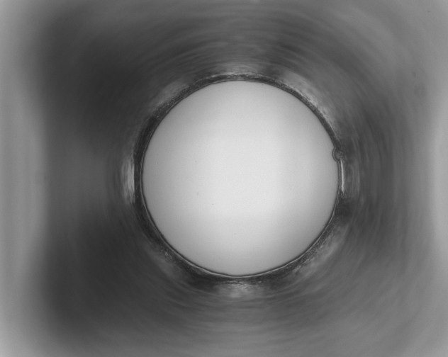 X0000101460253200807211339