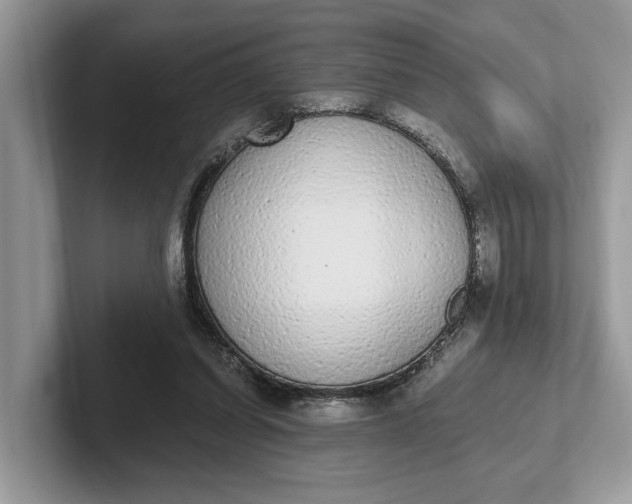 X0000101460254200807211339