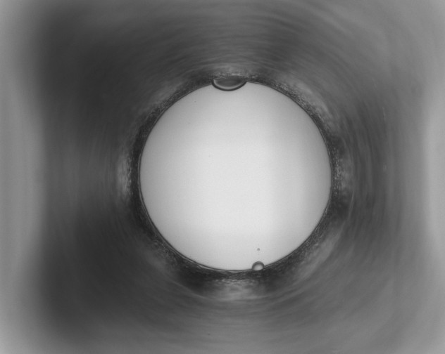 X0000101460255200807211339