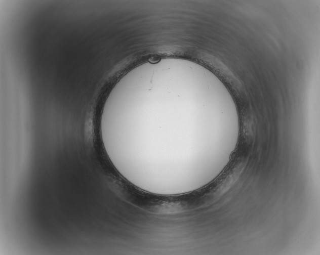 X0000101460256200807211339