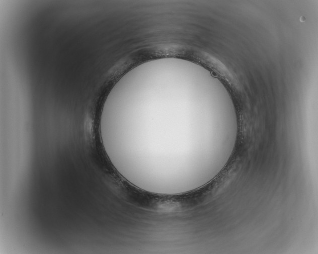 X0000101460258200807211339