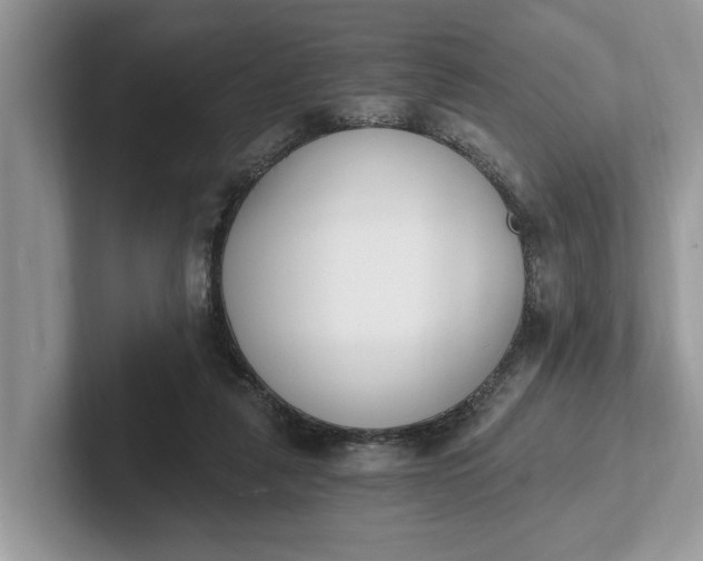 X0000101460259200807211339