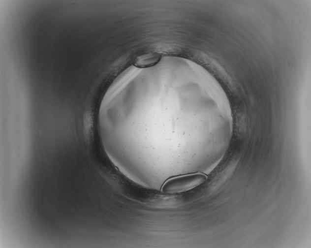 X0000101460260200807211339