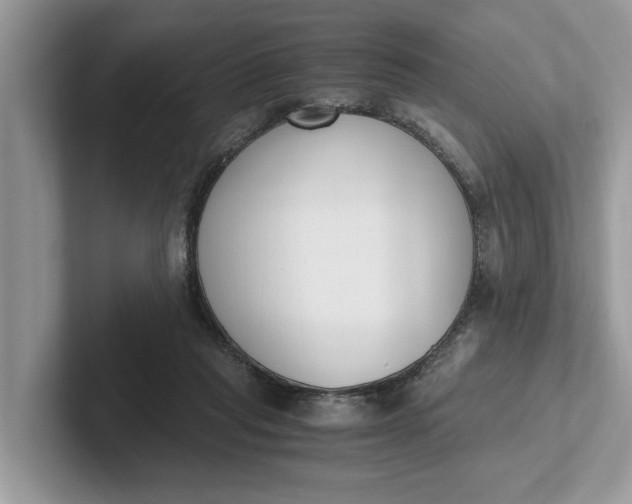 X0000101460261200807211339