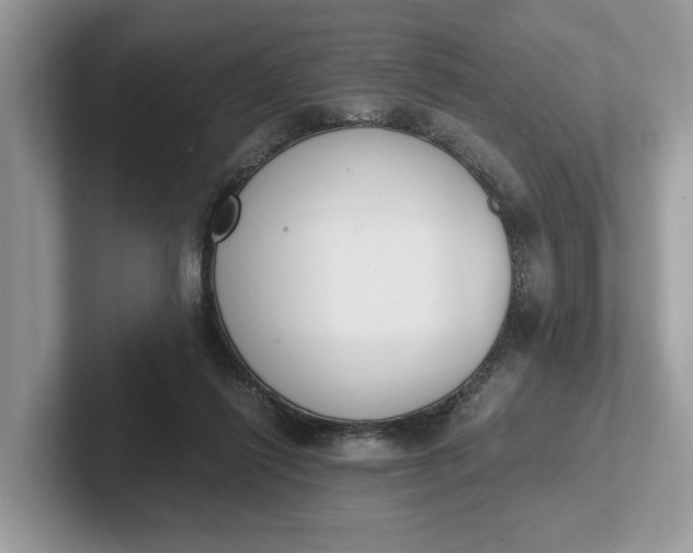 X0000101460262200807211339