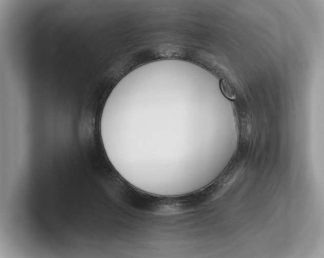 X0000101460263200807211339