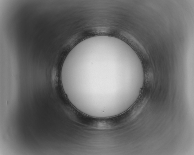 X0000101460264200807211339