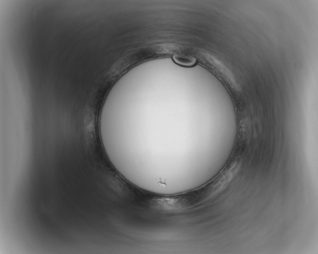 X0000101460265200807211339