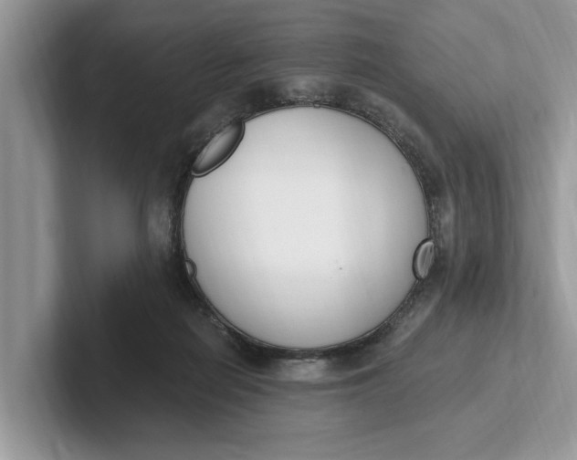 X0000101460266200807211339