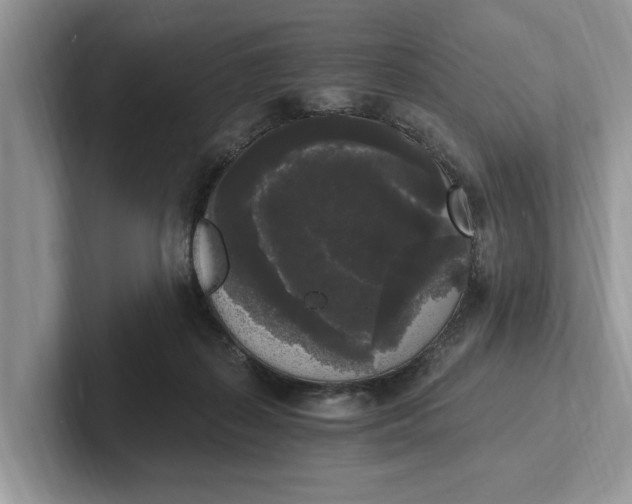 X0000101460267200807211339