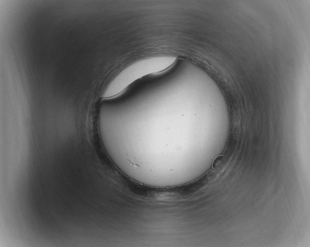 X0000101460268200807211339