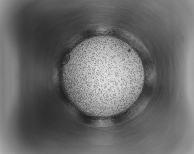 X0000101460270200807211339