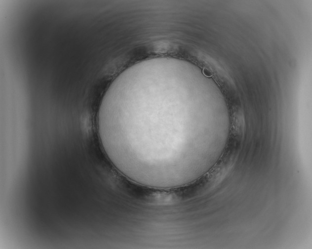 X0000101460272200807211339